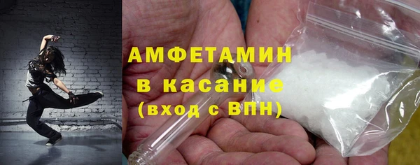 PSILOCYBIN Горно-Алтайск