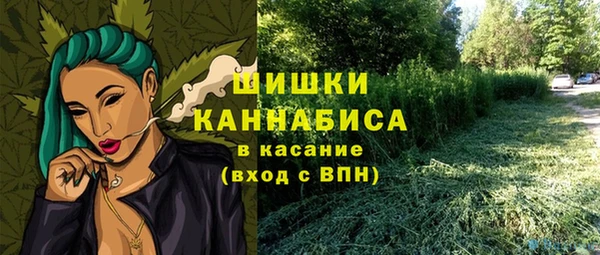 PSILOCYBIN Горно-Алтайск