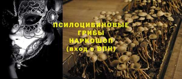 ALPHA PVP Заводоуковск