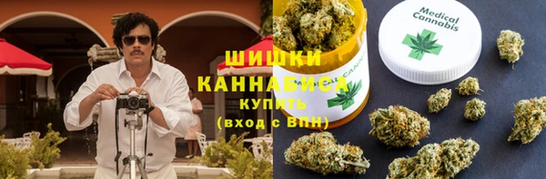 PSILOCYBIN Горно-Алтайск
