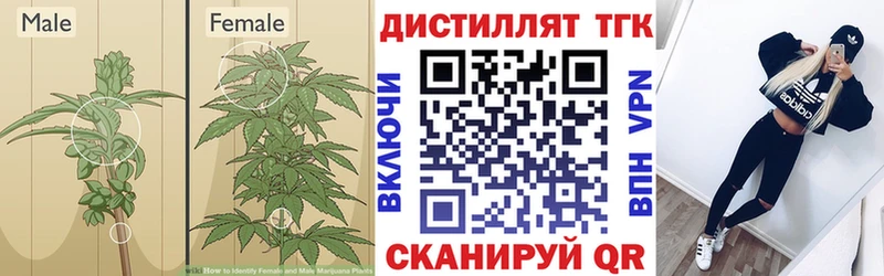 KRAKEN онион  Володарск  ТГК вейп с тгк 